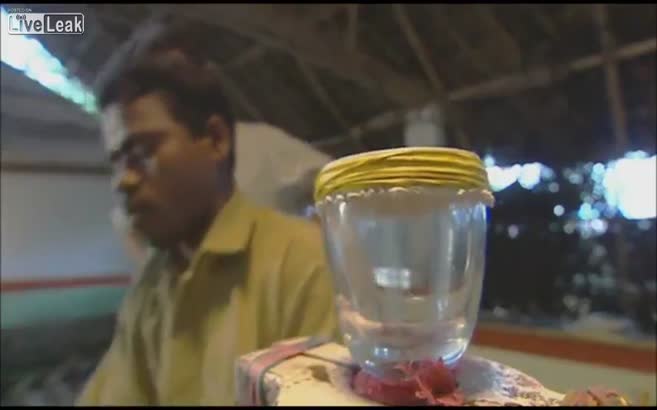 Yılan zehri kanı böyle yapıyor!