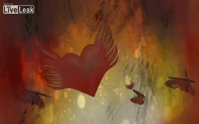 Adamın kulağına yuva yapan böcek