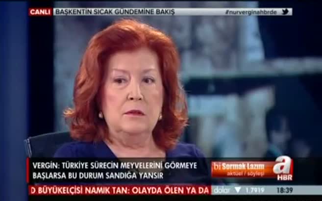 Nur Vergin: Özal'a Kürt raporu verdim