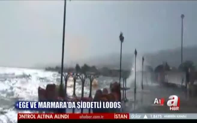 Lodos can aldı