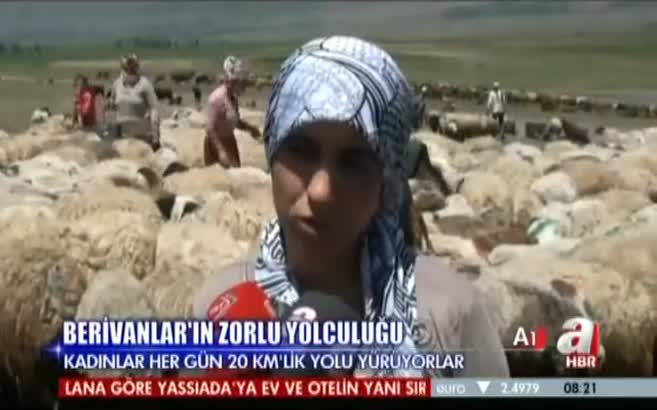 20 km'lik süt yürüyüşü