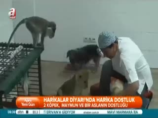 Kıskandıran dostluk