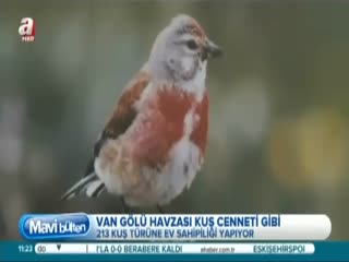 213 kuş türüne ev sahipliği yapıyor