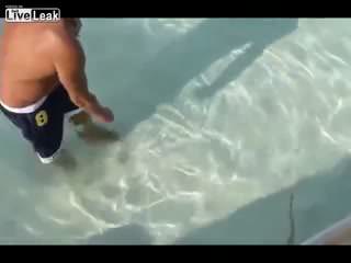 Köpek balığının küçüğü, yavrusu olmaz !