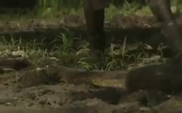 Dünyanın merakla beklediği programda fiyasko