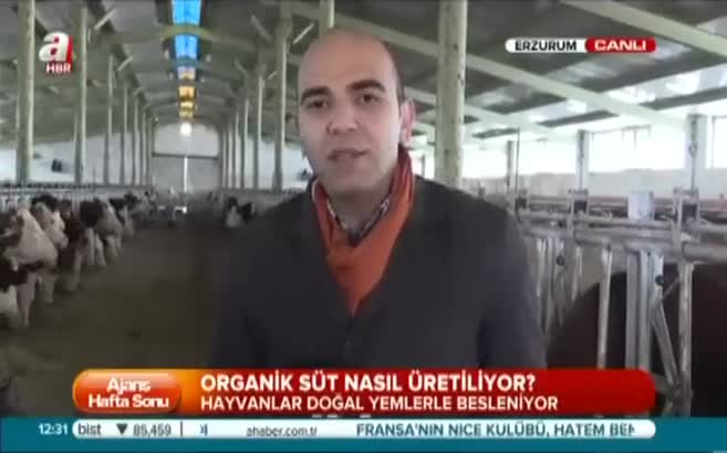 Organik süt nedir, nasıl üretilir?