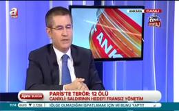Nurettin Canikli: Hedef Fransız yönetimidir