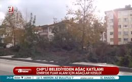 İzmir’de ağaç katliamı!