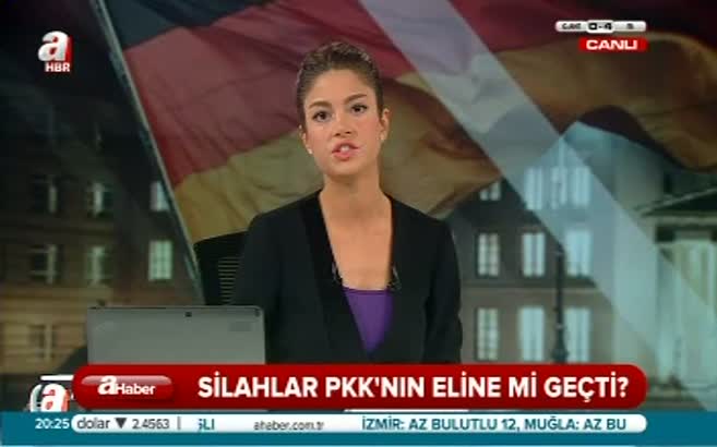Alman silahları PKK'nın eline geçti