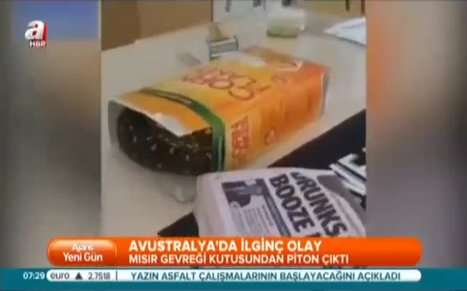 Mısır gevreği kutusundan piton çıktı