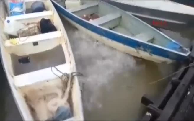 Pirana dehşeti