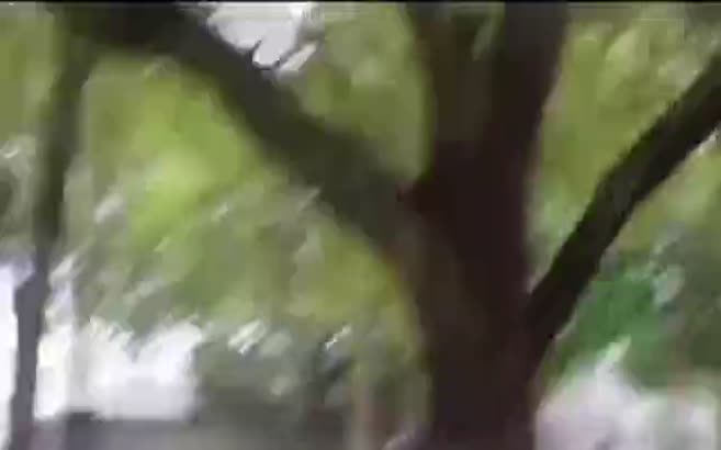 Sekiz kurşunla öldürüp kelepçeledi!