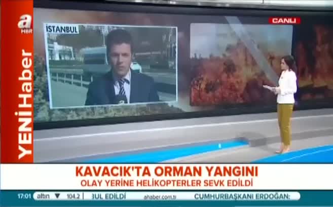 Kavacık'ta orman yangını