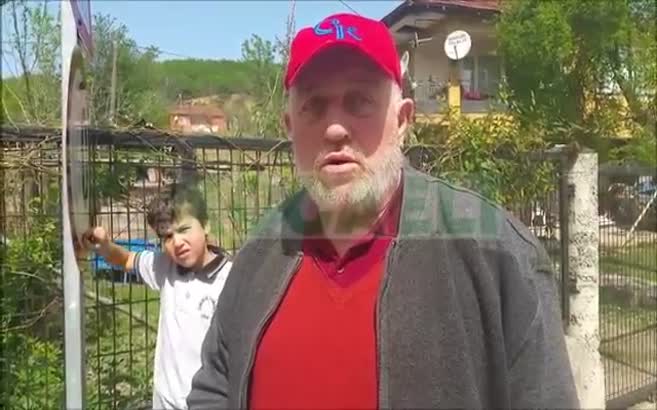 Kocaeli'de dinozora benzetilen hayvan leşi korkuttu