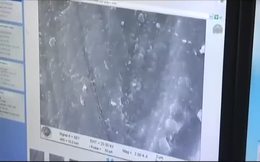 Bilim camiasından Erdoğan’a destek