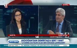 İhsan Aktaş: HDP – Paralel iş birliği içinde