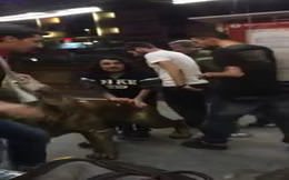 Galatasaray’ın aslan heykeli çalındı, metrobüsle götürüldü