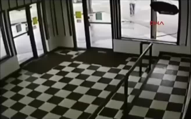 Cep telefonu ile konuşurken yılana bastı ve işte böyle ısırıldı