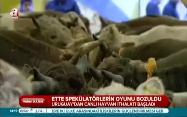 Ette oyun bozuldu