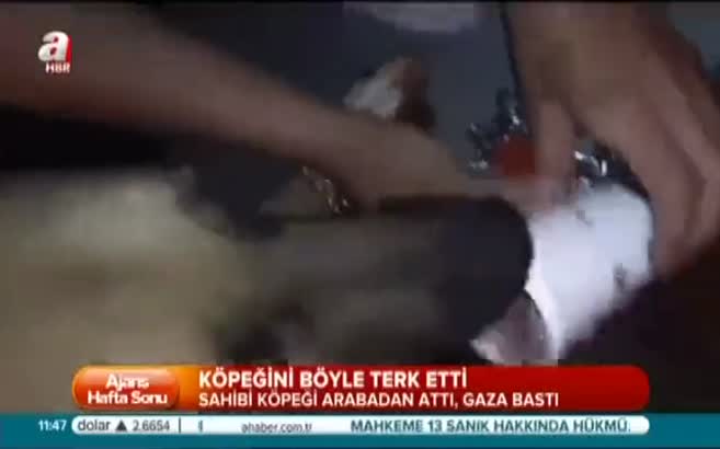 Sahibi köpeği arabadan attı