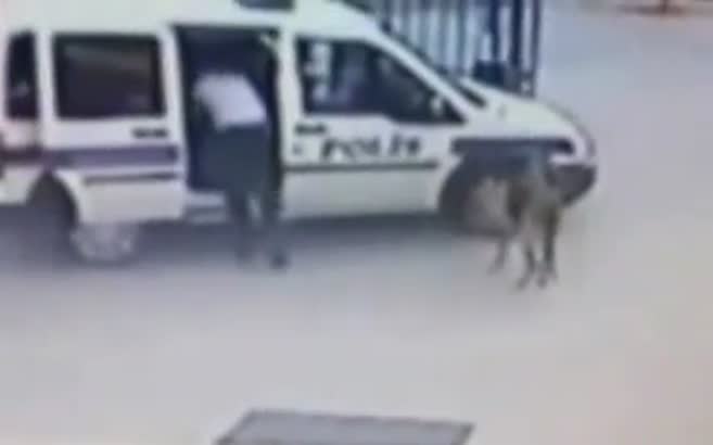 Komiser Yardımıcısı karakol bahçesinde köpek vurdu