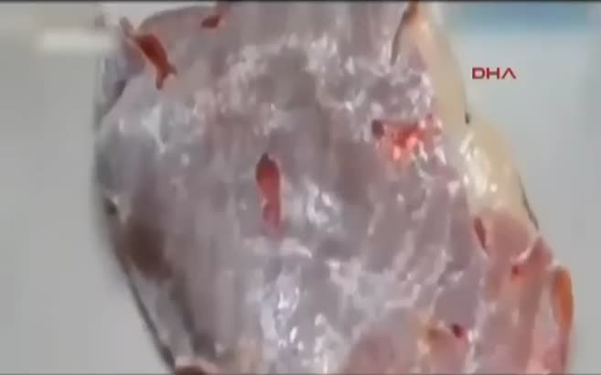 Kasaptan aldığı biftek evde canlandı