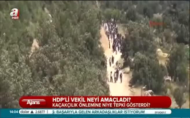 HDP'li Encü ne yapmak istiyor?