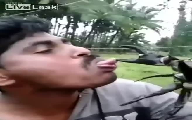 Dilini yengece kaptırdı