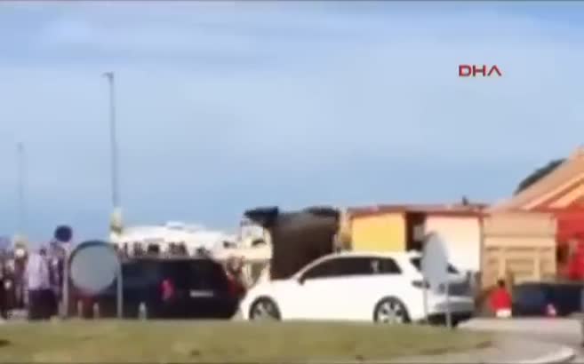 Dayaktan kaçan filler, araçları ezdi