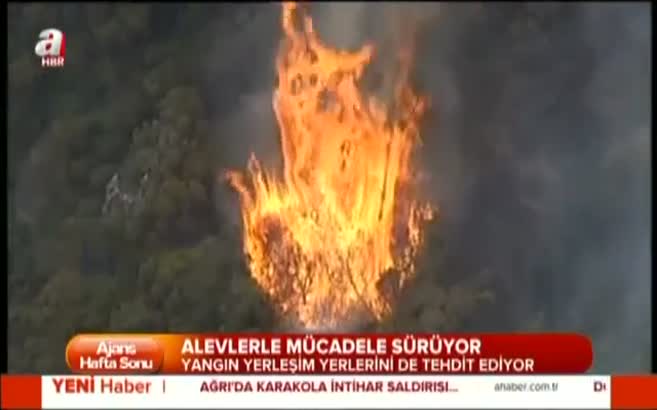 Avustralya'da orman yangını