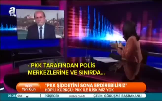 HDP'li Kürkçü'den skandal röportaj