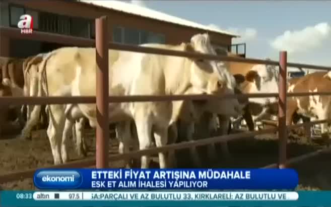 Et fiyatına önlem geliyor