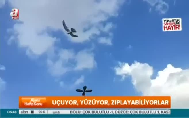 Robot hayvanlar hayrete düşürüyor