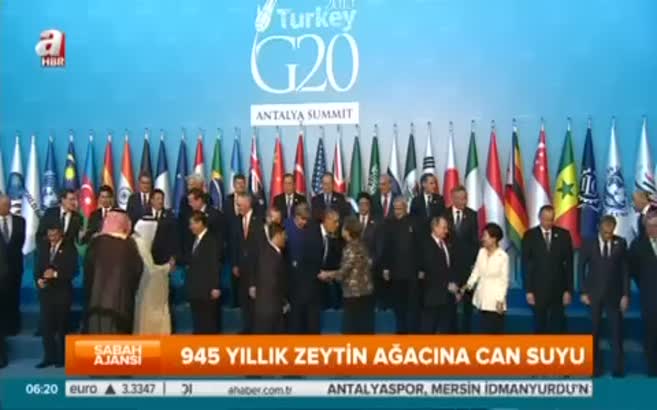 Erdoğan, 945 yıllık zeytin ağacına can suyu verdi
