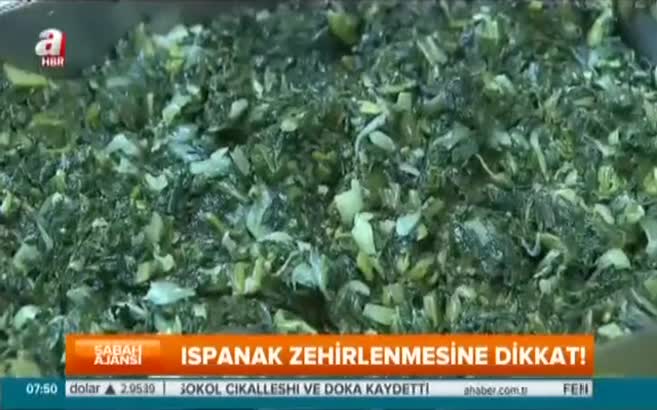 Ispanak zehirlenmesine dikkat!