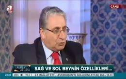 Beyin nasıl çalışır?