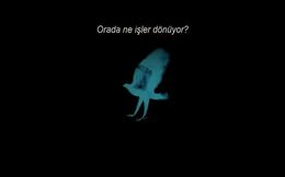 Doğruyu Söyle / Concussion filminin Türkçe altyazılı fragmanı