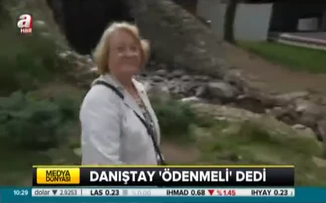 Emekliye Danıştay'dan müjdeli haber