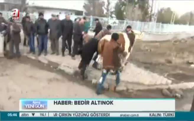 Kaçan boğalar zor anlar yaşattı