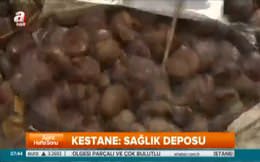 Kestanenin faydaları