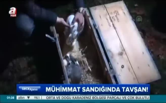 Bursa'da mühimmat sandığından bakın ne çıktı