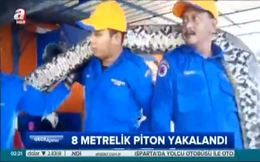 Dünyanın en büyük yılanı!