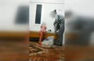 Öz anneden çocuğuna Sen haram çocuksun dayağı!