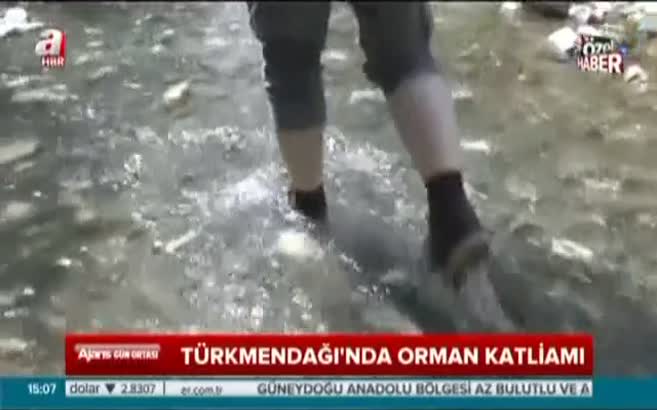 A Haber Türkmendağı'nda