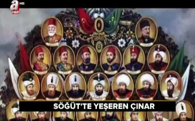 Analiz - Söğüt'te yeşeren çınar