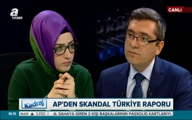 Prof. Dr. Haluk Selvi: AB, Türkiye'ye bahane üretiyor