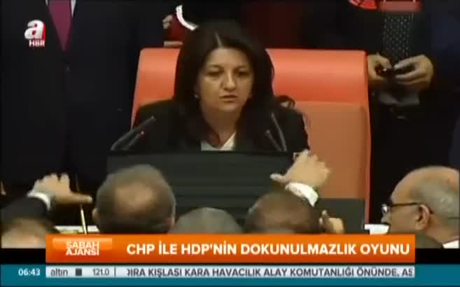 CHP ile HDP'nin dokunulmazlık oyunu