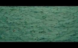 Karanlık Sular / The Shallows Türkçe altyazılı yeni fragman