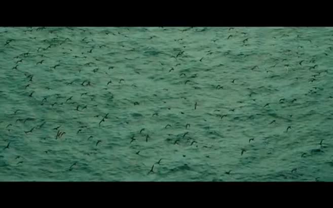 Karanlık Sular / The Shallows Türkçe altyazılı yeni fragman