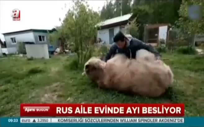 Evcil hayvanları bir ayı